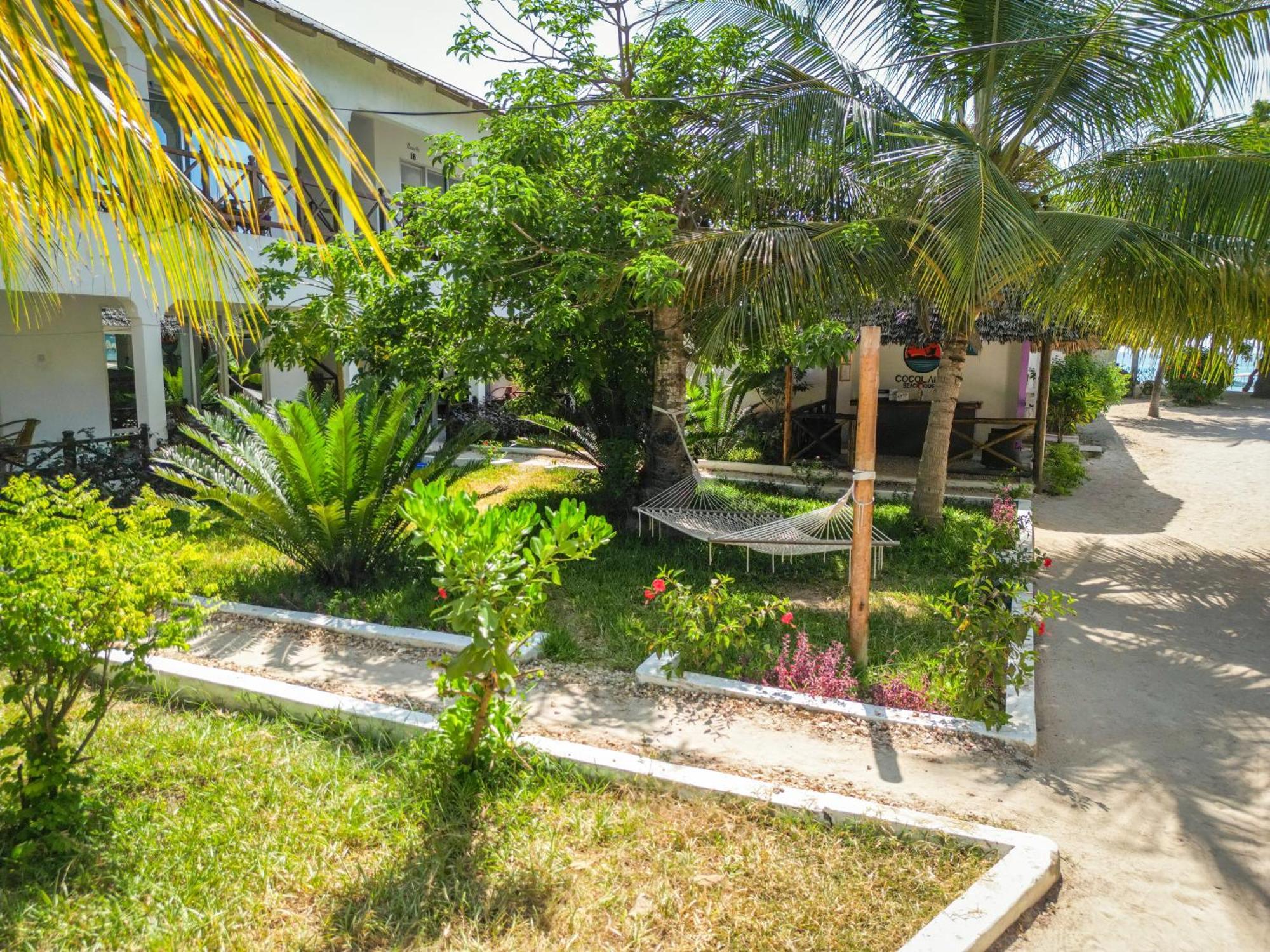 نونغوي Cocolala Beach House المظهر الخارجي الصورة