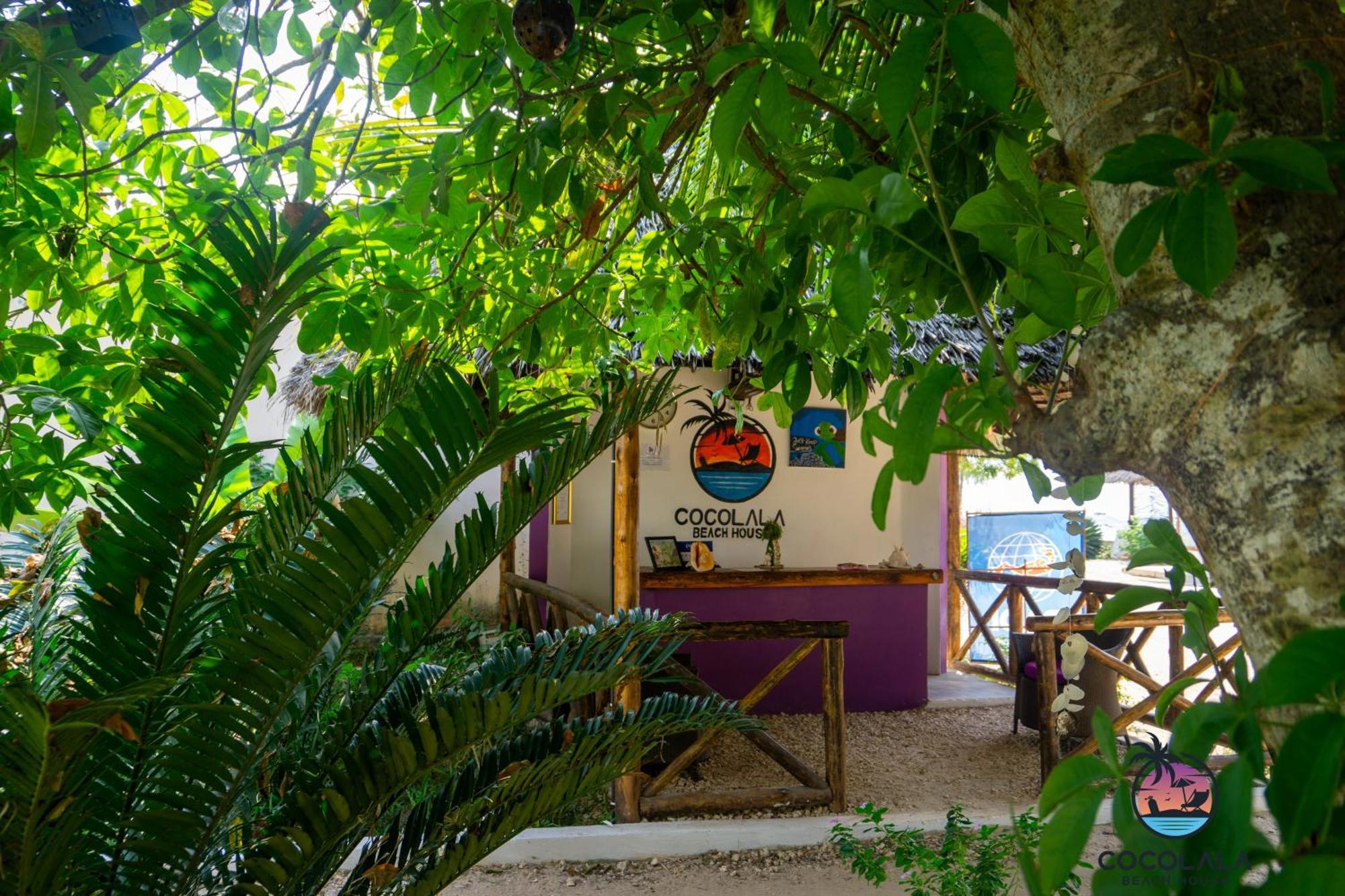 نونغوي Cocolala Beach House المظهر الخارجي الصورة